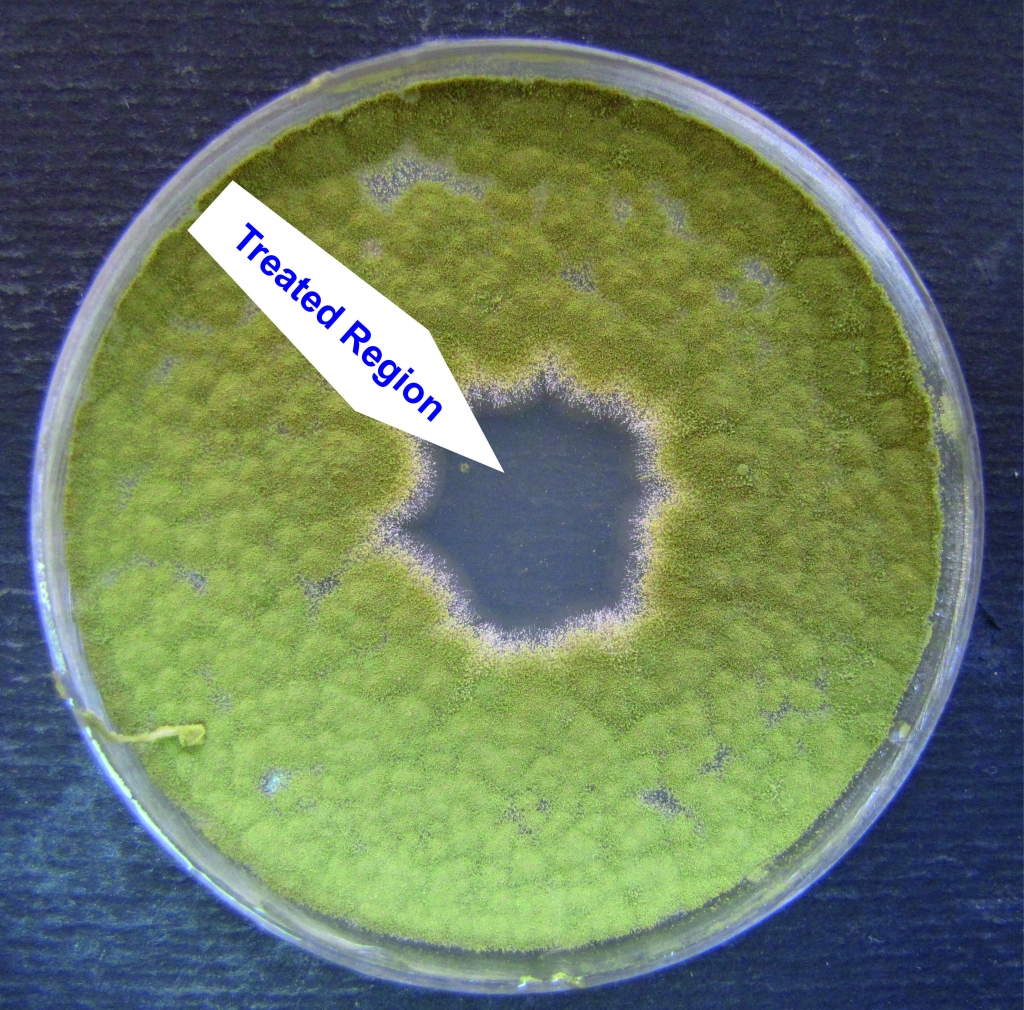 پلاسمای سرد در میکروب زدایی سطوح